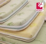 Orthopet, il benessere a 4 zampe