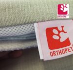 Orthopet, il benessere a 4 zampe - immagine 3